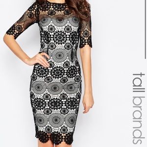 Paper Dolls Tall Lace Pencil Dress